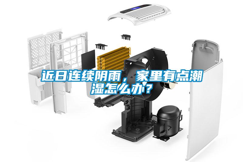 近日連續(xù)陰雨，家里有點潮濕怎么辦？