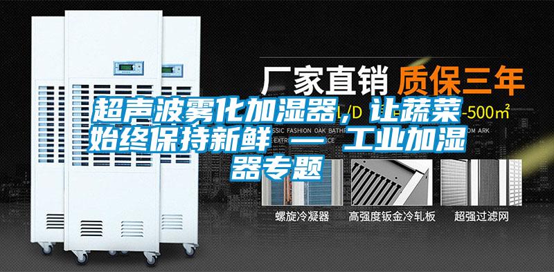 超聲波霧化加濕器，讓蔬菜始終保持新鮮 — 工業(yè)加濕器專題