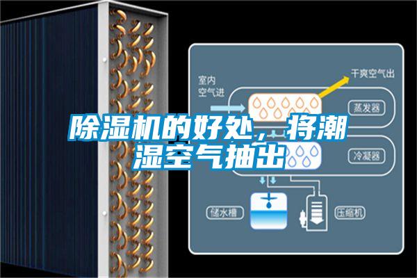 除濕機的好處，將潮濕空氣抽出