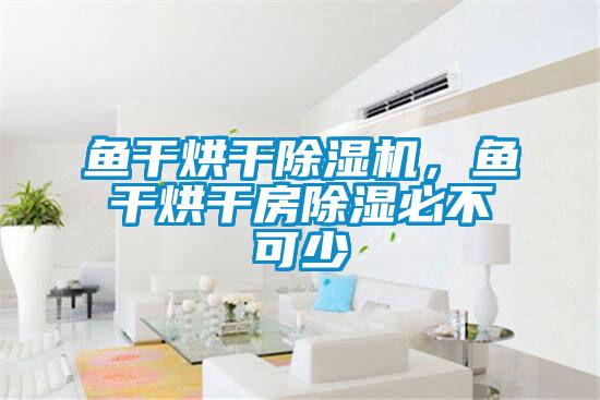 魚(yú)干烘干除濕機(jī)，魚(yú)干烘干房除濕必不可少