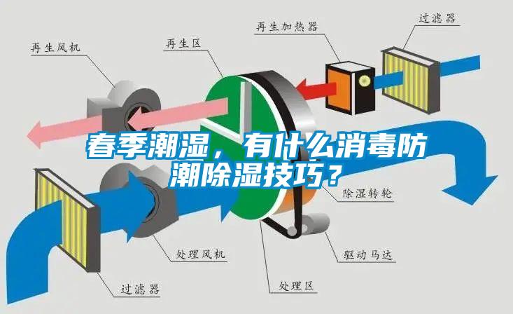 春季潮濕，有什么消毒防潮除濕技巧？