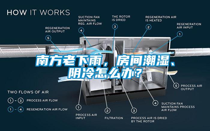 南方老下雨，房間潮濕、陰冷怎么辦？
