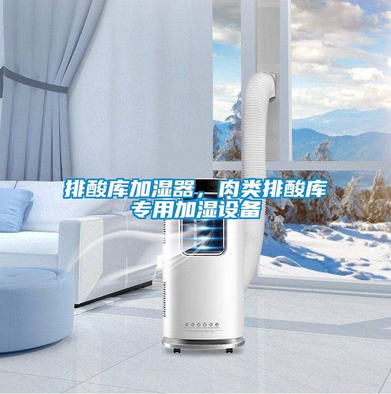 排酸庫(kù)加濕器，肉類(lèi)排酸庫(kù)專(zhuān)用加濕設(shè)備