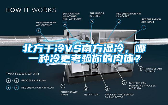 北方干冷VS南方濕冷，哪一種冷更考驗?zāi)愕娜怏w？