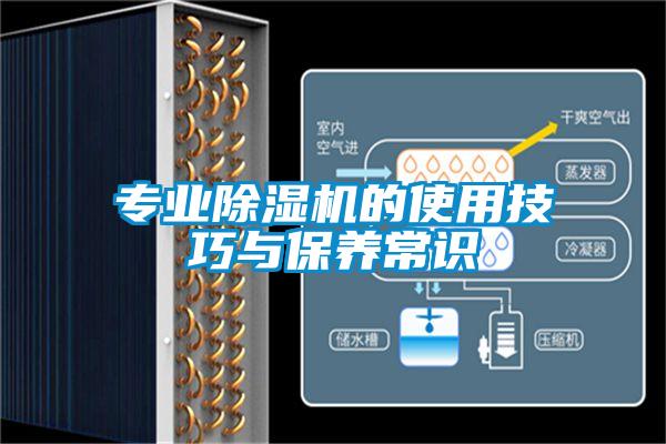 專(zhuān)業(yè)除濕機(jī)的使用技巧與保養(yǎng)常識(shí)