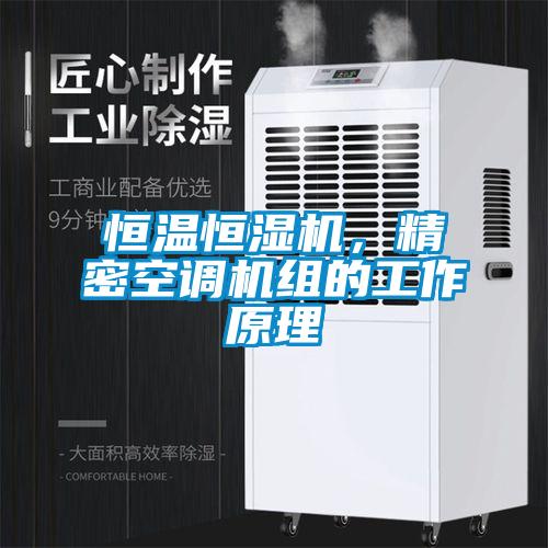 恒溫恒濕機(jī)，精密空調(diào)機(jī)組的工作原理