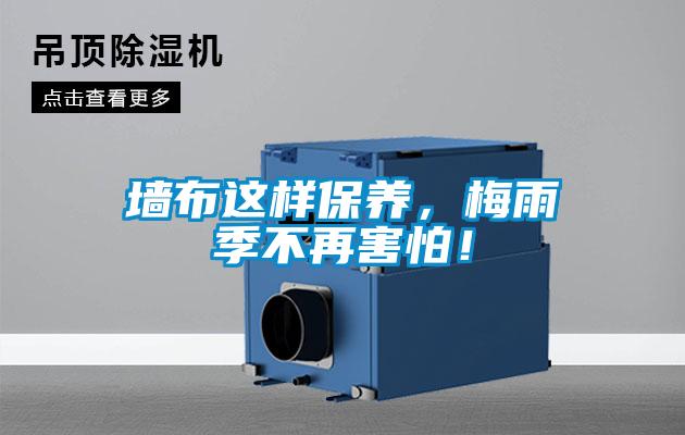 墻布這樣保養(yǎng)，梅雨季不再害怕！