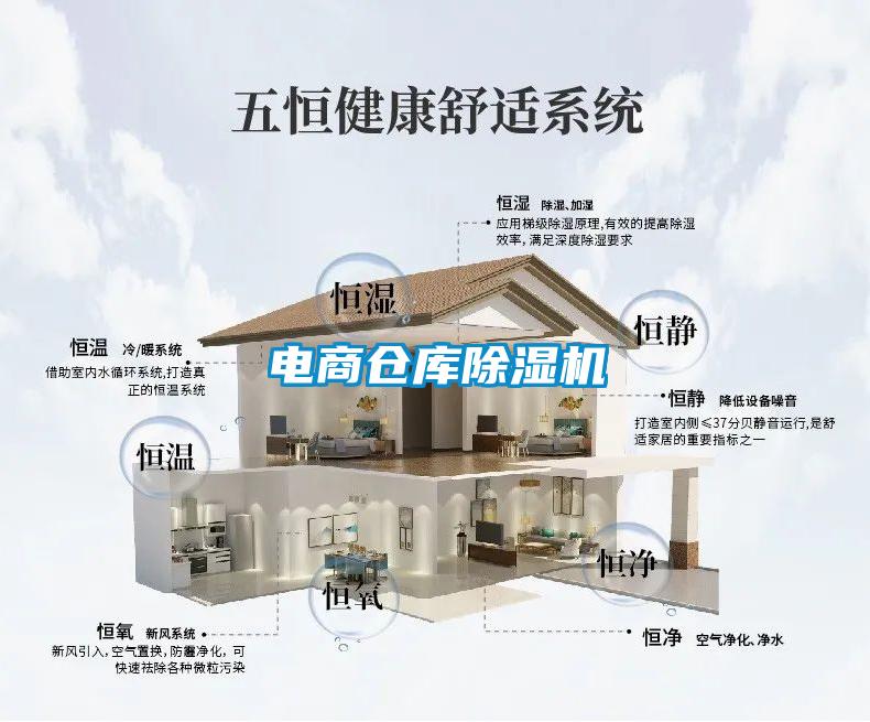 電商倉(cāng)庫(kù)除濕機(jī)