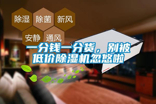 一分錢一分貨，別被低價除濕機忽悠啦