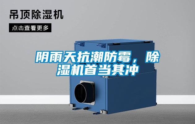 陰雨天抗潮防霉，除濕機首當其沖
