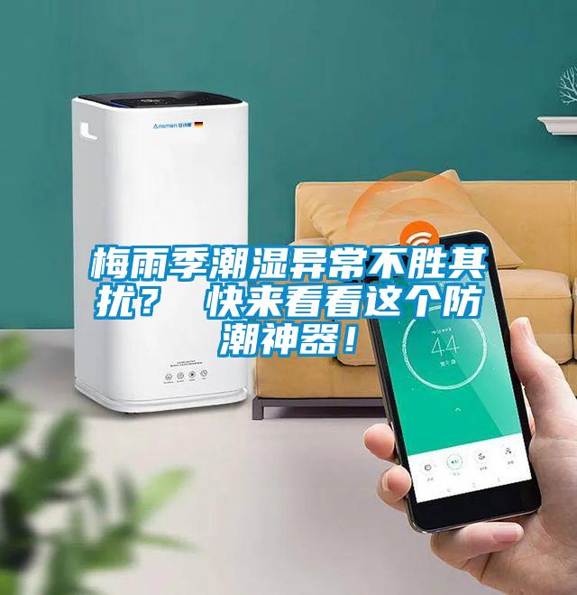 梅雨季潮濕異常不勝其擾？ 快來看看這個防潮神器！