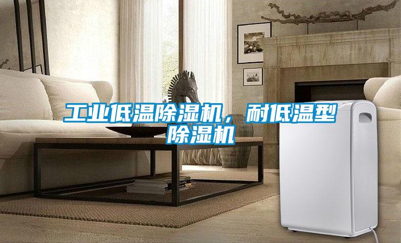 工業(yè)低溫除濕機，耐低溫型除濕機