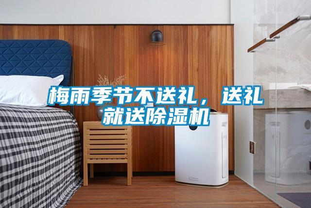 梅雨季節(jié)不送禮，送禮就送除濕機