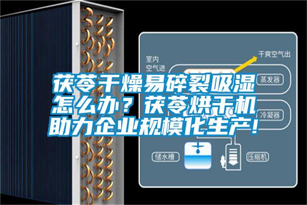茯苓干燥易碎裂吸濕怎么辦？茯苓烘干機助力企業(yè)規(guī)?；a(chǎn)!