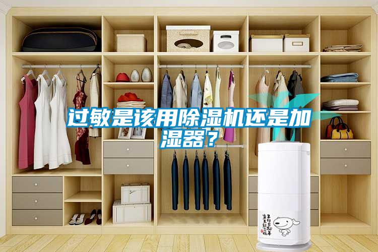 過(guò)敏是該用除濕機(jī)還是加濕器？