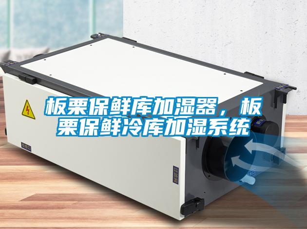 板栗保鮮庫加濕器，板栗保鮮冷庫加濕系統(tǒng)