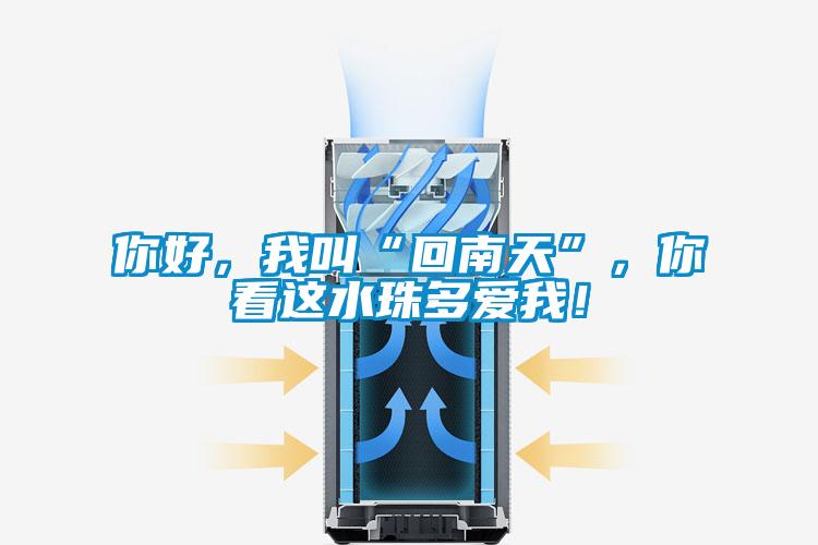 你好，我叫“回南天”，你看這水珠多愛我！