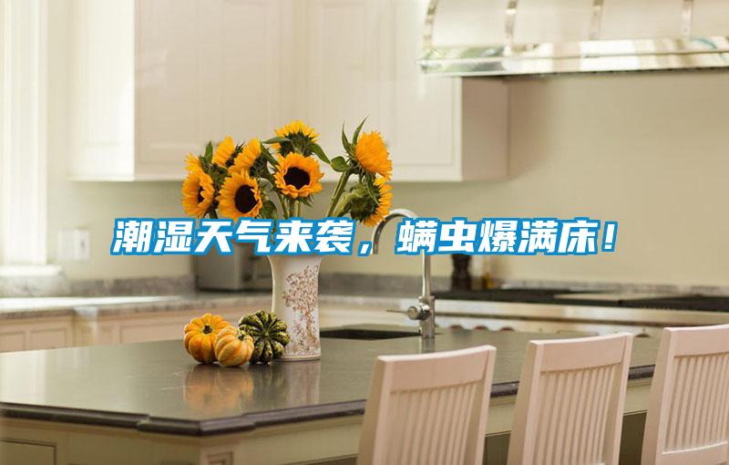 潮濕天氣來(lái)襲，螨蟲(chóng)爆滿床！