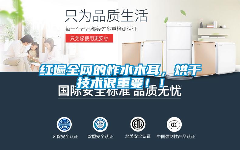 紅遍全網(wǎng)的柞水木耳，烘干技術(shù)很重要??！