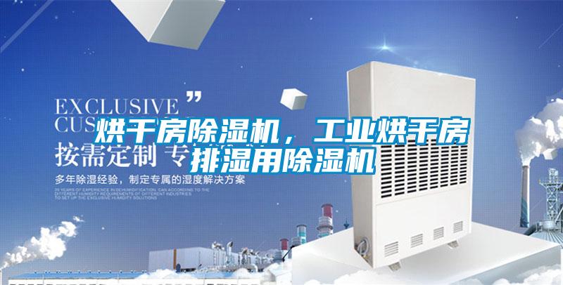 烘干房除濕機，工業(yè)烘干房排濕用除濕機
