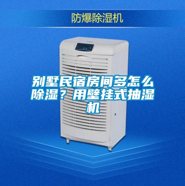 別墅民宿房間多怎么除濕？用壁掛式抽濕機(jī)