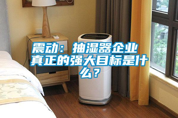 震動(dòng)：抽濕器企業(yè) 真正的強(qiáng)大目標(biāo)是什么？