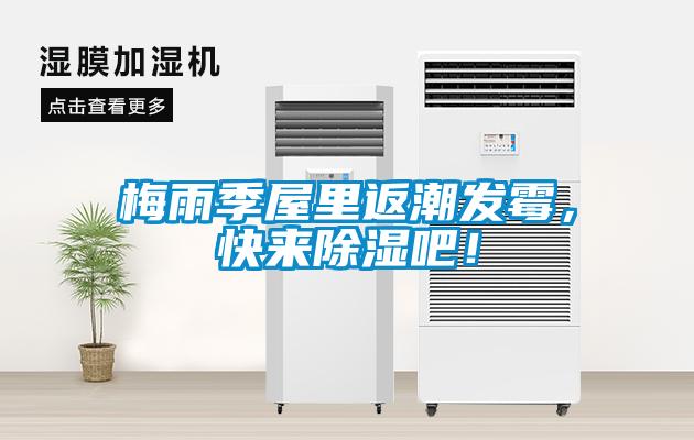 梅雨季屋里返潮發(fā)霉，快來(lái)除濕吧！