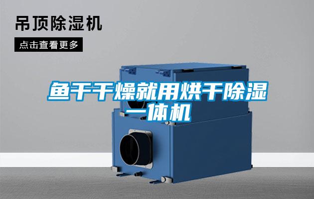 魚干干燥就用烘干除濕一體機(jī)