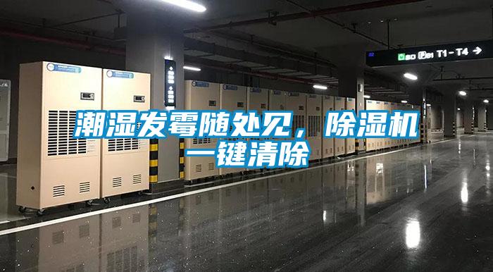 潮濕發(fā)霉隨處見，除濕機(jī)一鍵清除