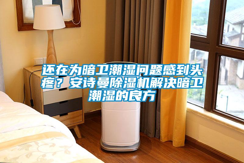還在為暗衛(wèi)潮濕問題感到頭疼？安詩曼除濕機(jī)解決暗衛(wèi)潮濕的良方