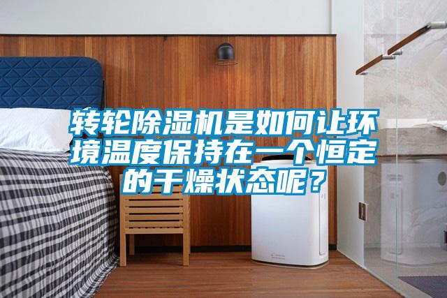 轉輪除濕機是如何讓環(huán)境溫度保持在一個恒定的干燥狀態(tài)呢？