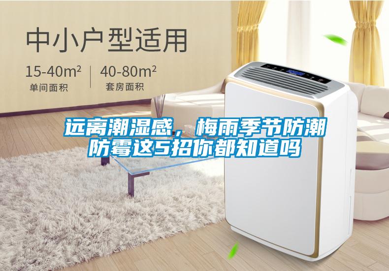 遠(yuǎn)離潮濕感，梅雨季節(jié)防潮防霉這5招你都知道嗎