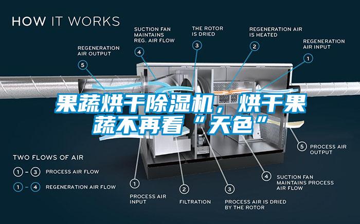 果蔬烘干除濕機，烘干果蔬不再看“天色”