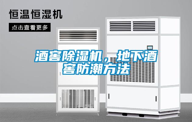 酒窖除濕機(jī)，地下酒窖防潮方法