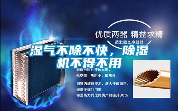 濕氣不除不快，除濕機不得不用