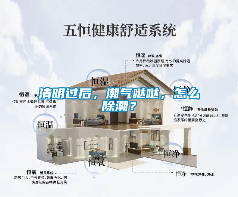 清明過(guò)后，潮氣噠噠，怎么除潮？