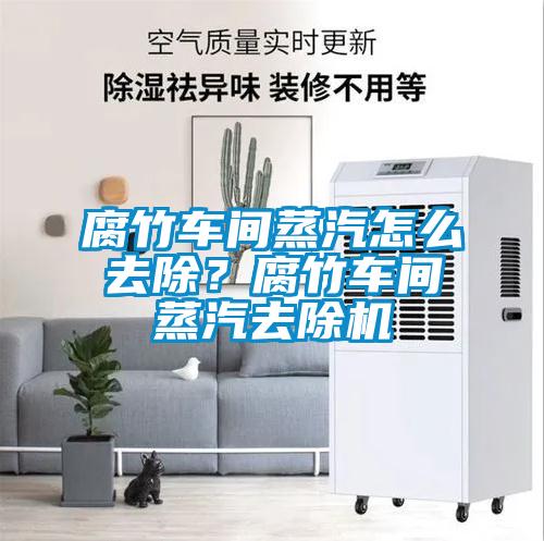 腐竹車間蒸汽怎么去除？腐竹車間蒸汽去除機(jī)