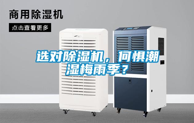 選對除濕機，何懼潮濕梅雨季？