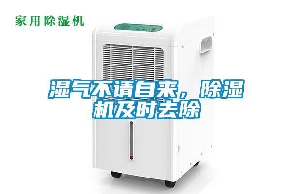 濕氣不請自來，除濕機(jī)及時去除