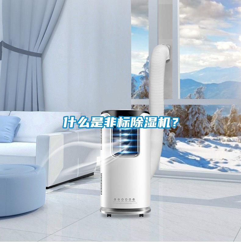 什么是非標(biāo)除濕機(jī)？