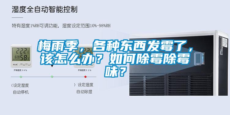 梅雨季，各種東西發(fā)霉了，該怎么辦？如何除霉除霉味？