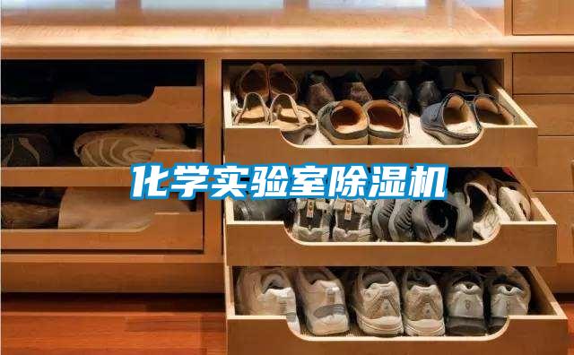化學(xué)實(shí)驗(yàn)室除濕機(jī)