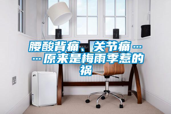 腰酸背痛、關(guān)節(jié)痛……原來是梅雨季惹的禍