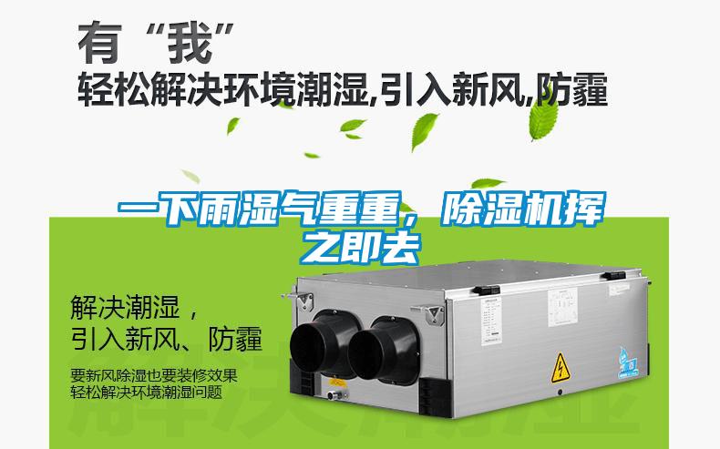一下雨濕氣重重，除濕機(jī)揮之即去