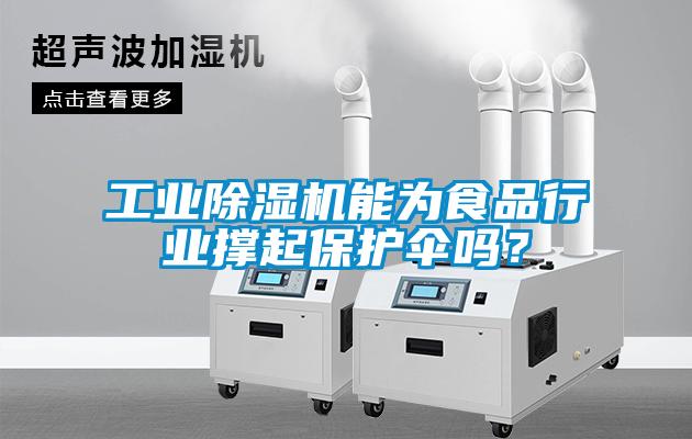 工業(yè)除濕機(jī)能為食品行業(yè)撐起保護(hù)傘嗎？