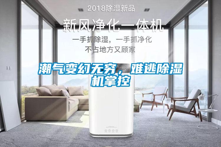 潮氣變幻無(wú)窮，難逃除濕機(jī)掌控