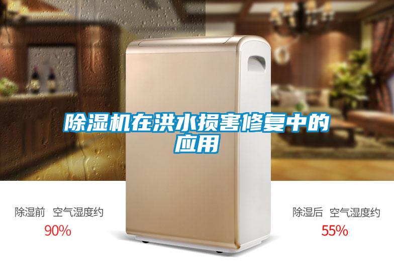 除濕機(jī)在洪水損害修復(fù)中的應(yīng)用