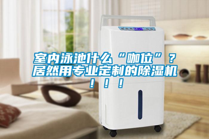 室內(nèi)泳池什么“咖位”？居然用專業(yè)定制的除濕機?。。?/></p>
                              <p style=