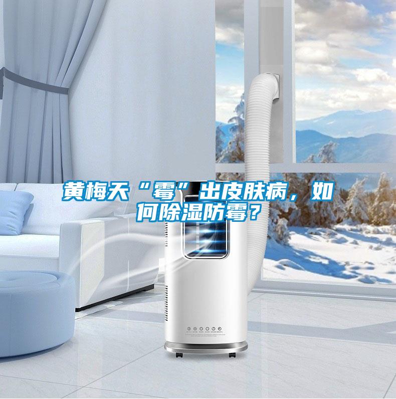 黃梅天“霉”出皮膚病，如何除濕防霉？