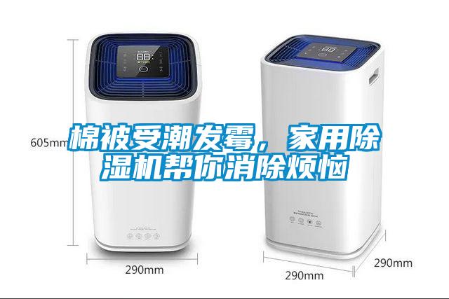棉被受潮發(fā)霉，家用除濕機(jī)幫你消除煩惱